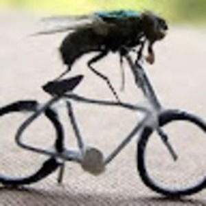 Meet your Posher, Mike